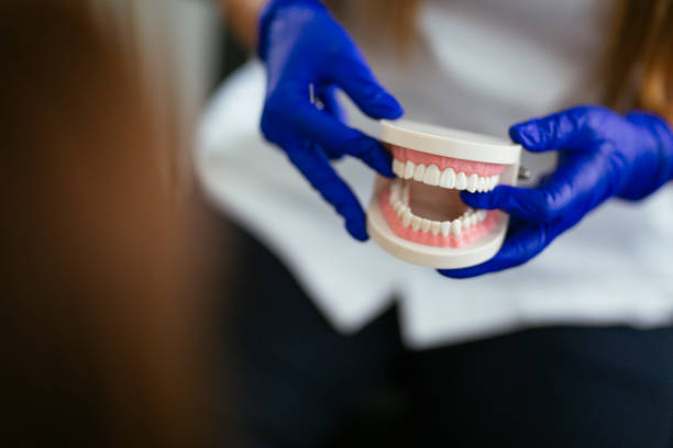 Professional Holistic Dental Care Services in Buda, TX
